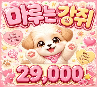 마루는강쥐