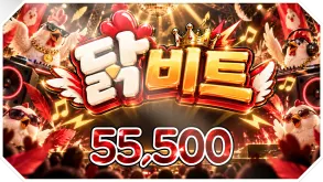 닭비트
