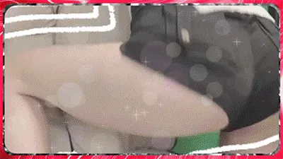 바우치