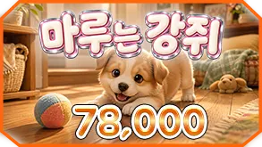 마루는강쥐