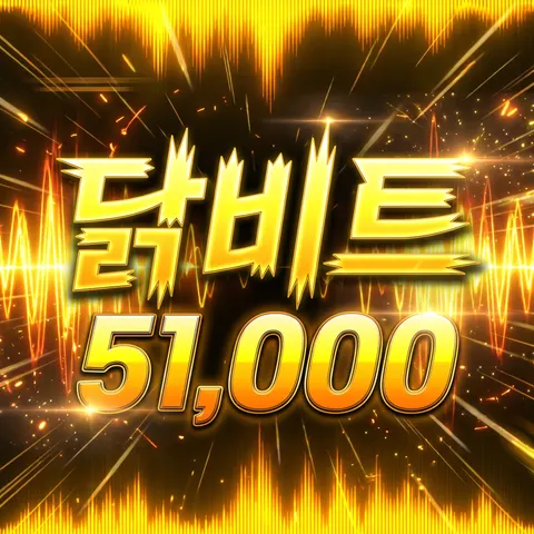 닭비트